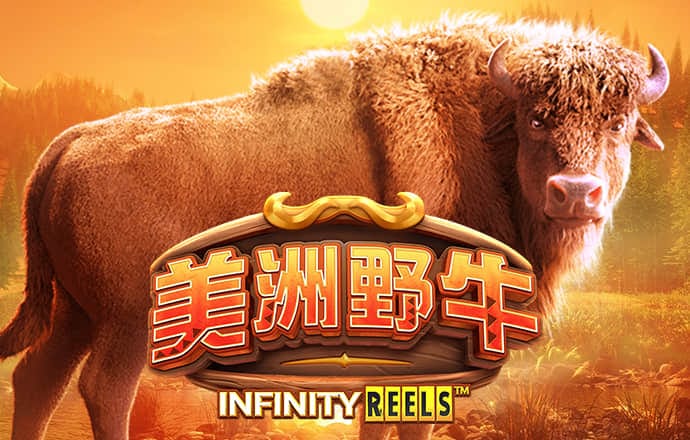 IM体育娱乐平台